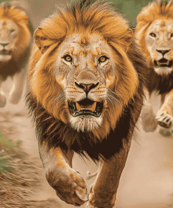 Majestic Lion Wildlife Diamond Painting