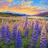 Majestic Lupine Fields Diamond Painting