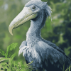 Majestic Shoebill Diamond Painting