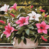 Mandevilla Blossoms Diamond Painting