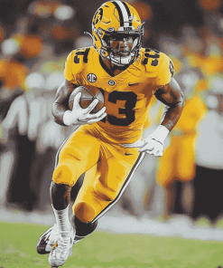 Missouri Tigers Football Icons Diamond Painting