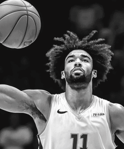 Monochrome Coby White Basketball Diamond Painting