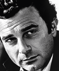 Monochrome Peter Falk Diamond Painting