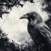 Monochrome Raven Diamond Painting