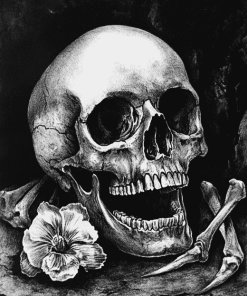 Monochrome Skull Diamond Painting