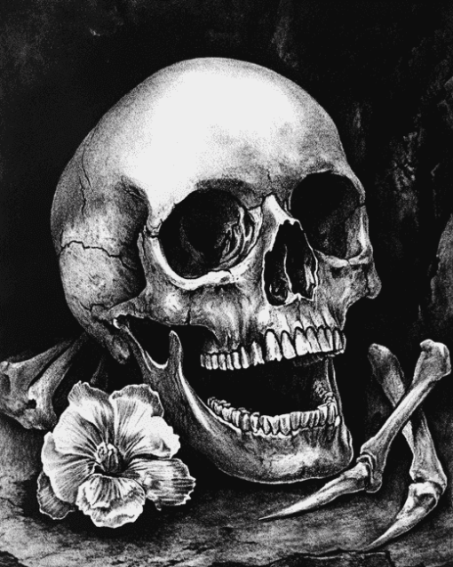 Monochrome Skull Diamond Painting