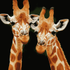 Mother Giraffe Wildlife Diamond Painting