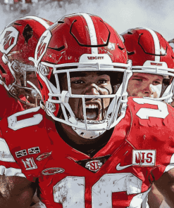 NC State Wolfpack Football Stars Diamond Painting