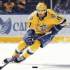 Nashville Predators Ice Hockey Diamond Painting