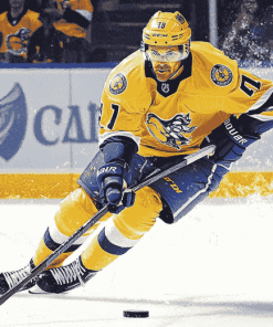 Nashville Predators Ice Hockey Diamond Painting