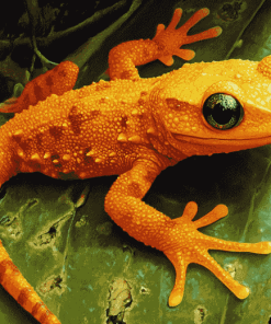 Newt on Green Leaf Diamond Painting