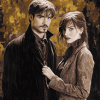 Nymphadora Tonks Remus Lupin Movie Series Diamond Painting