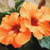 Orange Blossom Hibiscus Diamond Painting