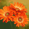 Orange Gerberas Blossoms Diamond Painting