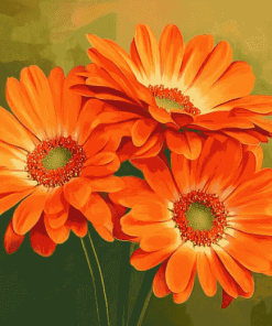 Orange Gerberas Blossoms Diamond Painting