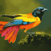 Oriol Bird Beauty Diamond Painting