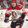 Ottawa Senators Hockey Star Diamond Painting