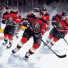 Ottawa Senators Ice Hockey Diamond Painting