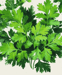 Parsley Plant Diamond Painting