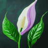 Peace Lily Blossom Diamond Painting