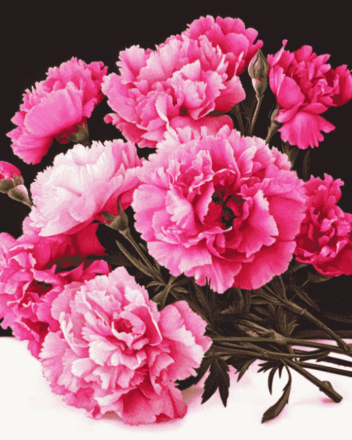 Pink Carnation Blooms Diamond Painting