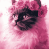 Pink Kitty Diamond Painting