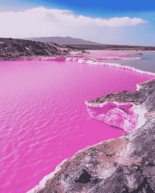 Pink Lake Retba Scenic Diamond Painting