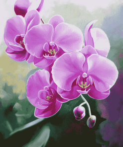 Pink Orchid Blossoms Diamond Painting