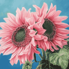 Pink Sunflowers and Blossoms Diamond Painting