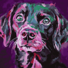 Pink and Black Puppy Diamond Painting