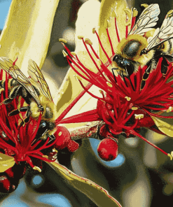 Pohutukawa Blossom with Bees Diamond Painting