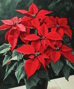 Poinsettia Blossoms Diamond Painting