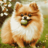 Pomeranian Puppy Fun Diamond Painting