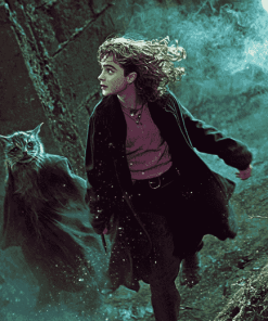 Prisoner of Azkaban Harry Potter Diamond Painting