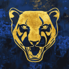 Pumas Unam Football Club Diamond Painting