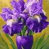 Purple Bearded Iris Flower Diamond Painting