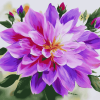 Purple Blossoms Diamond Painting