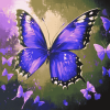 Purple Butterfly Insects Diamond Painting