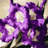 Purple Gladiolus Blossoms Diamond Painting