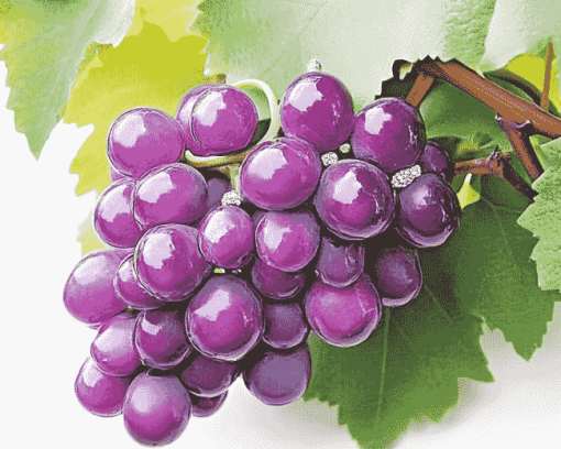 Purple Grapes Diamond Painting