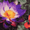 Purple Lotus Blossoms Diamond Painting