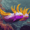 Purple Yellow Sea Slug Diamond Painting