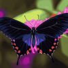 Purple and Black Butterfly Diamond Painting