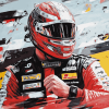 Racing Star Alex Bowman Diamond Painting