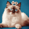 Ragdoll Kitty Diamond Painting