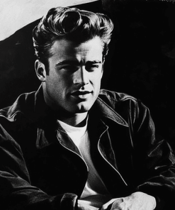 Rebel Without A Cause Film Diamond Painting