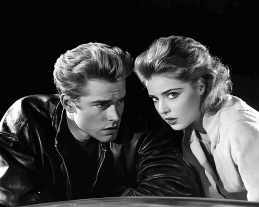 Rebel Without A Cause Monochrome Diamond Painting