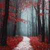 Red Forest National Park Diamond Painting