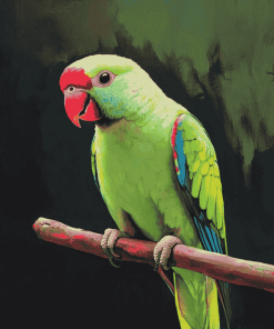 Ringneck Parrot Birds Diamond Painting