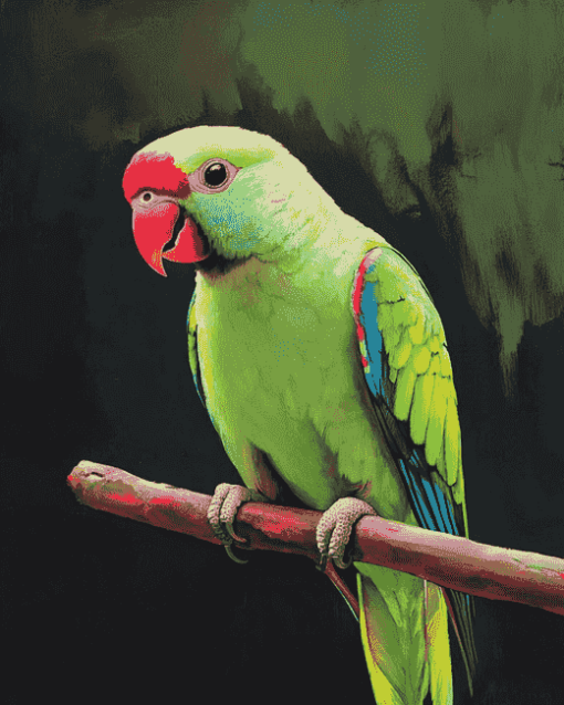 Ringneck Parrot Birds Diamond Painting